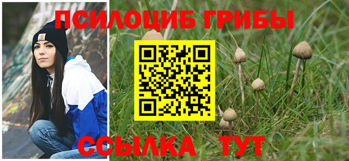 Галлюциногенные грибы ЛСД  Вход с VPN  купить   Галлюциногенные грибы мицелий  Заречный 